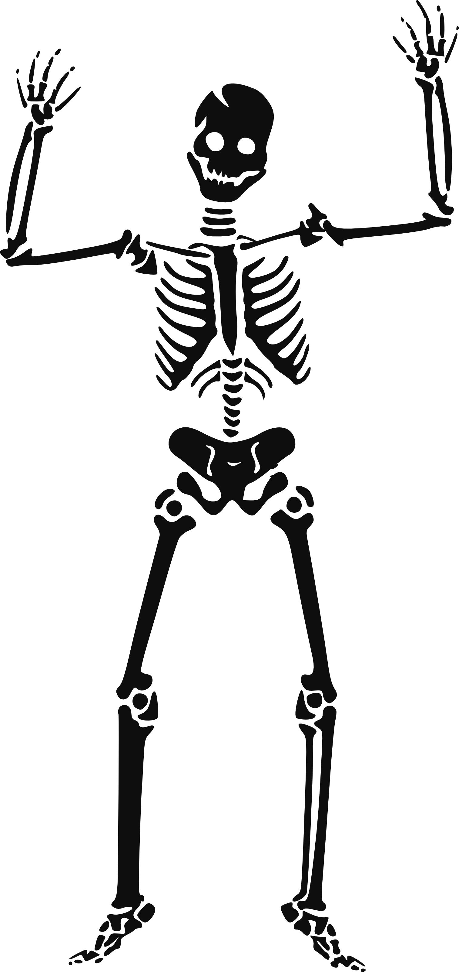 Images For > Dancing Skeleton Clip Art