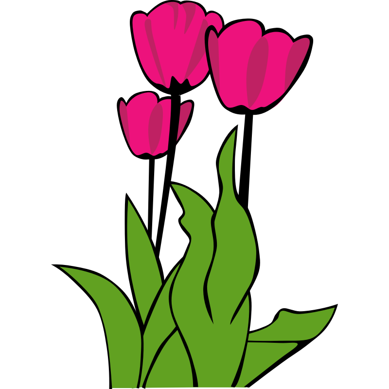 Clipart - Tulips