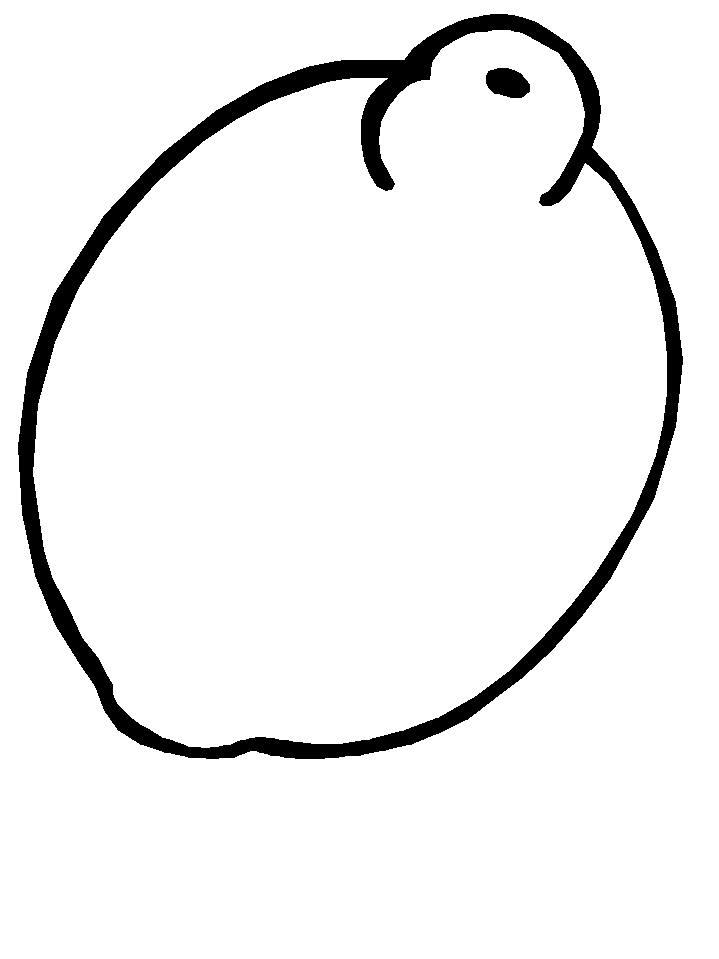 Lemon Coloring Pages
