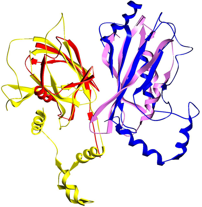 Uniting Structural and Systems Biology | Columbia University ...