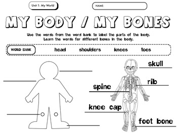 All-About-Me-My-Body-Activity-310221 Teaching Resources ...