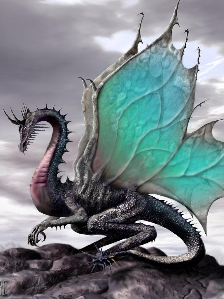 Dragon Pictures Wallpaper Download Gallery