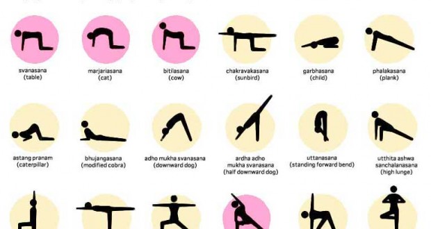 Yoga Poses For Beginners | xoVain