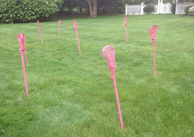 Invasion of the pink lacrosse sticks « Artsology | An arts blog ...