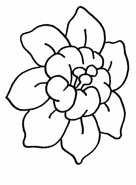 Flowers To Draw - ClipArt Best