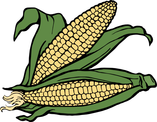 Pix For > Corn On A Stick Clipart