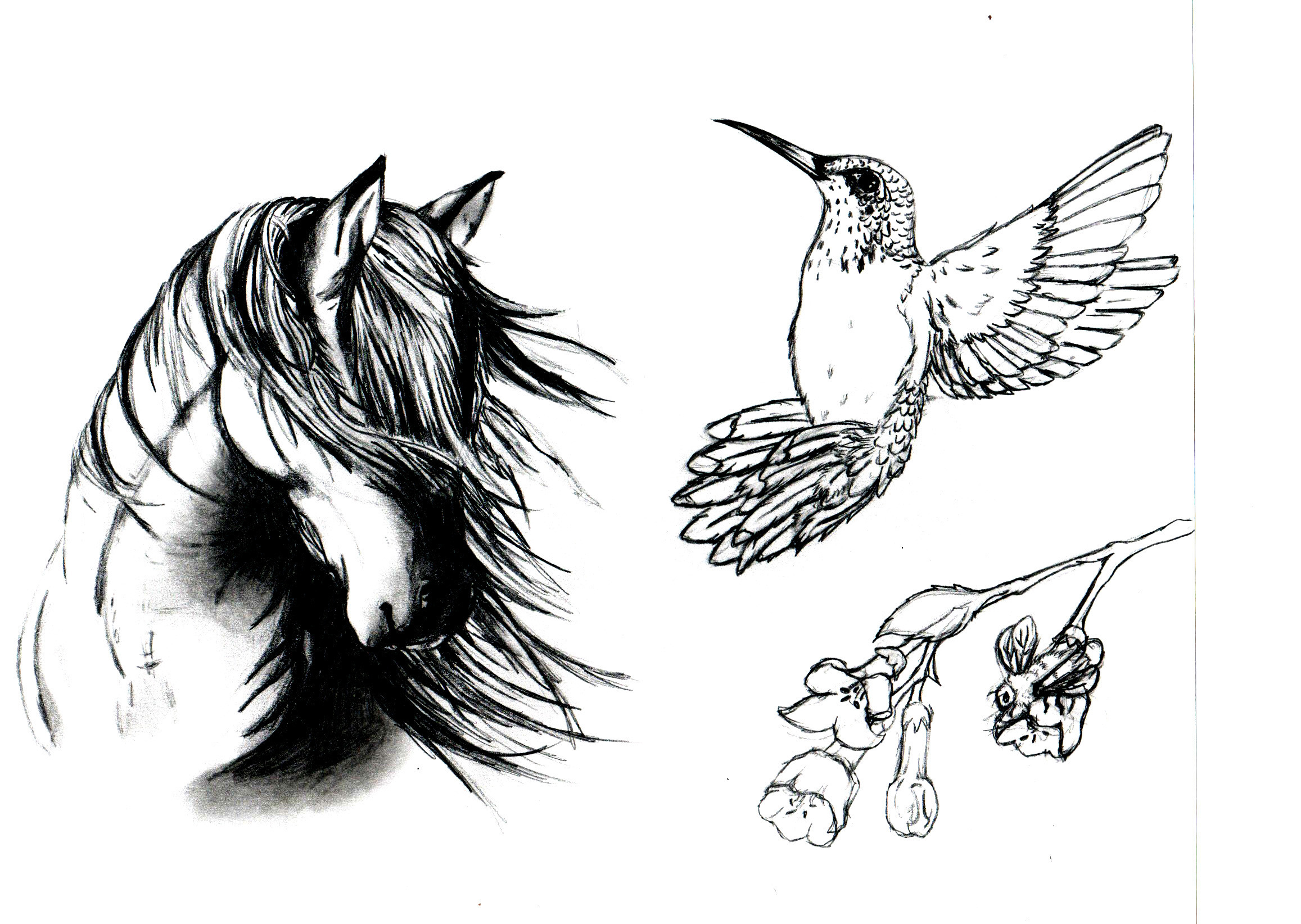 Horse Head Bird n Flowers Tattoo Designs | Tattoobite.com