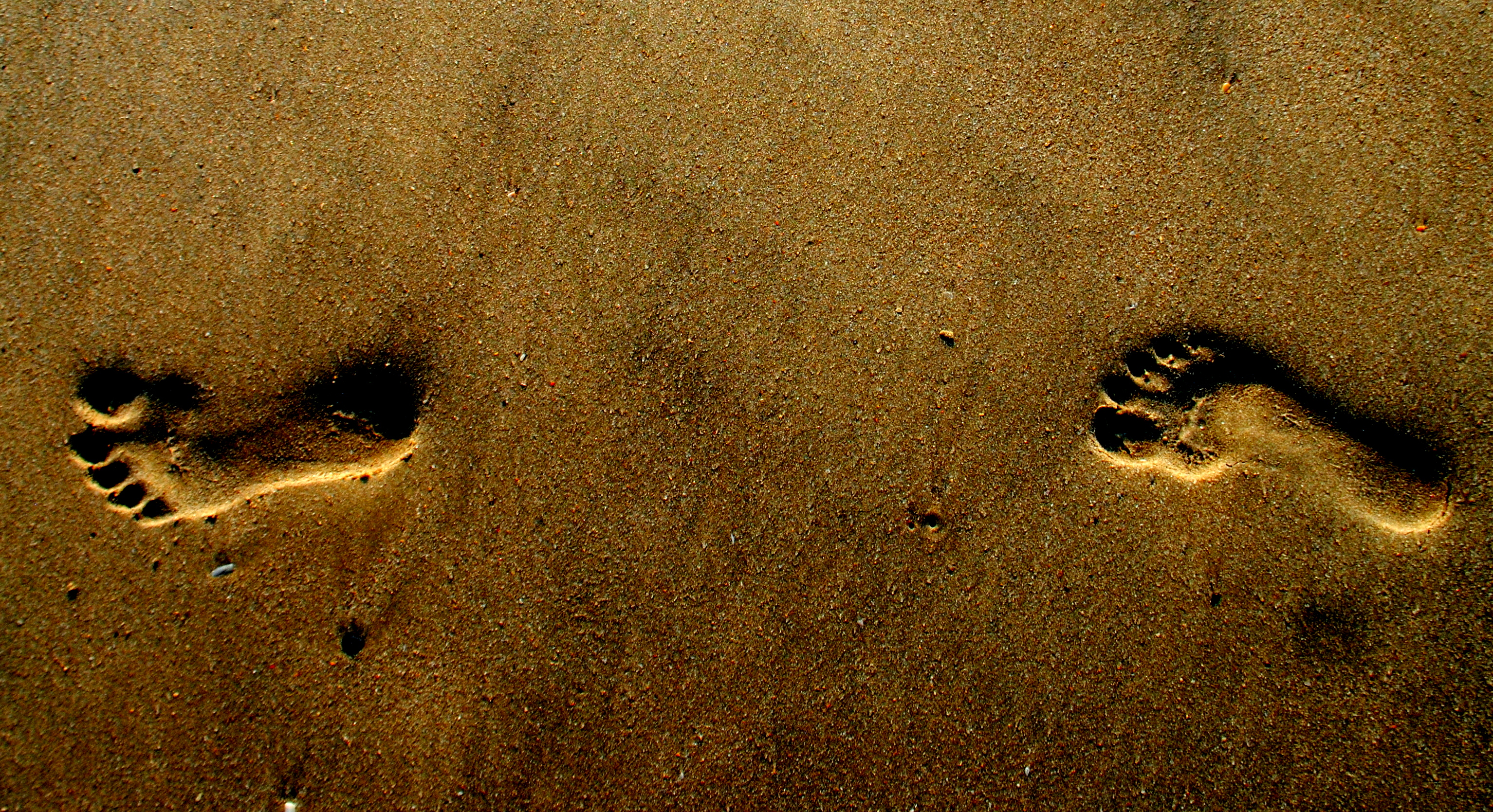 File:Foot Steps at Beach.jpg - Wikimedia Commons