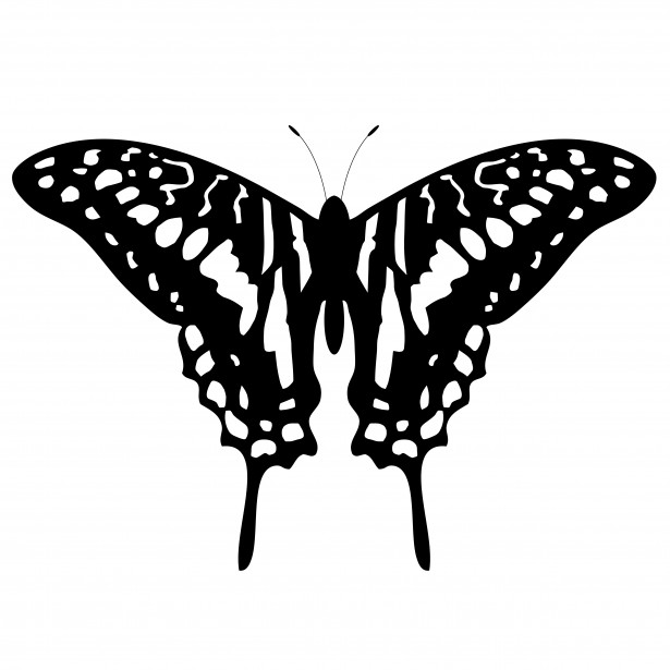 Butterfly Tattoo Clipart Free Stock Photo - Public Domain Pictures