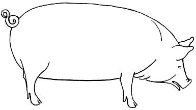 Another way to draw a pig