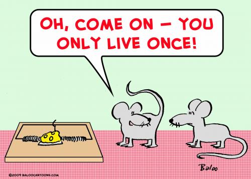 mice mousetrap only live once By rmay | Nature Cartoon | TOONPOOL