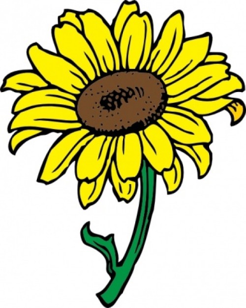 Sunflower clip art Vector | Free Download
