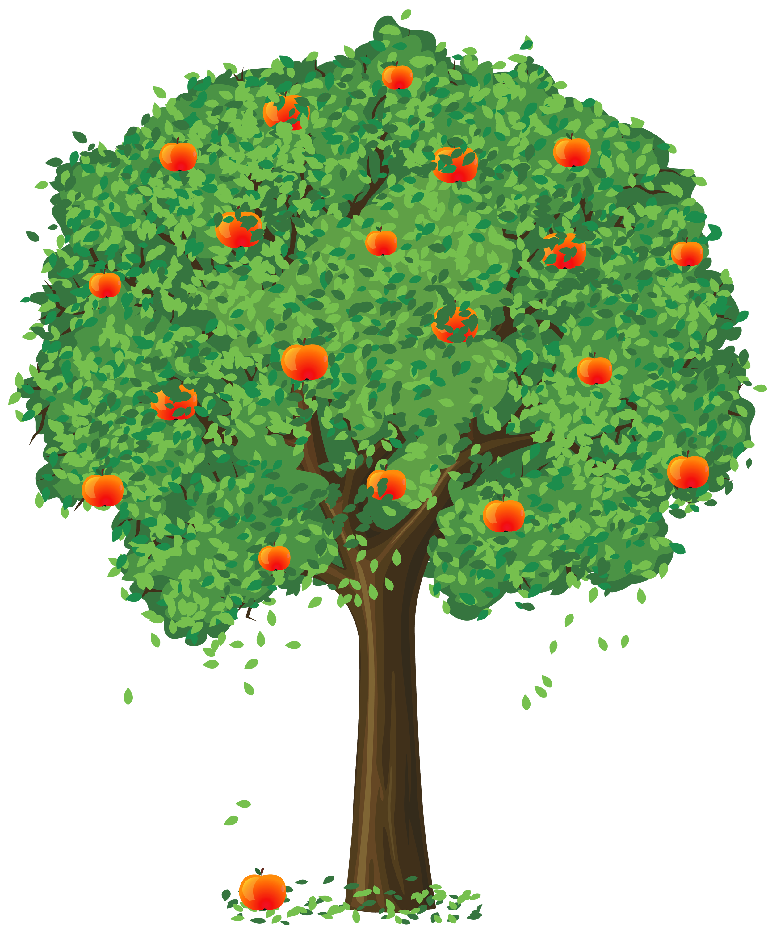 Trees - ClipArt Best