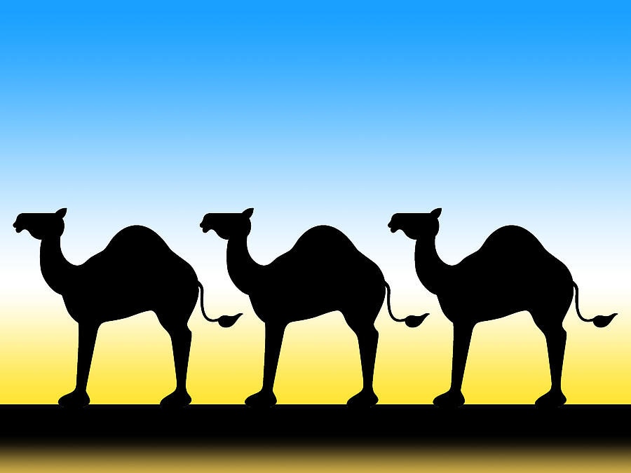 Camel Train by Alison Stein - Camel Train Drawing - Camel Train ...