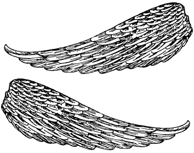 Angel Wings Coloring Pages - ClipArt Best