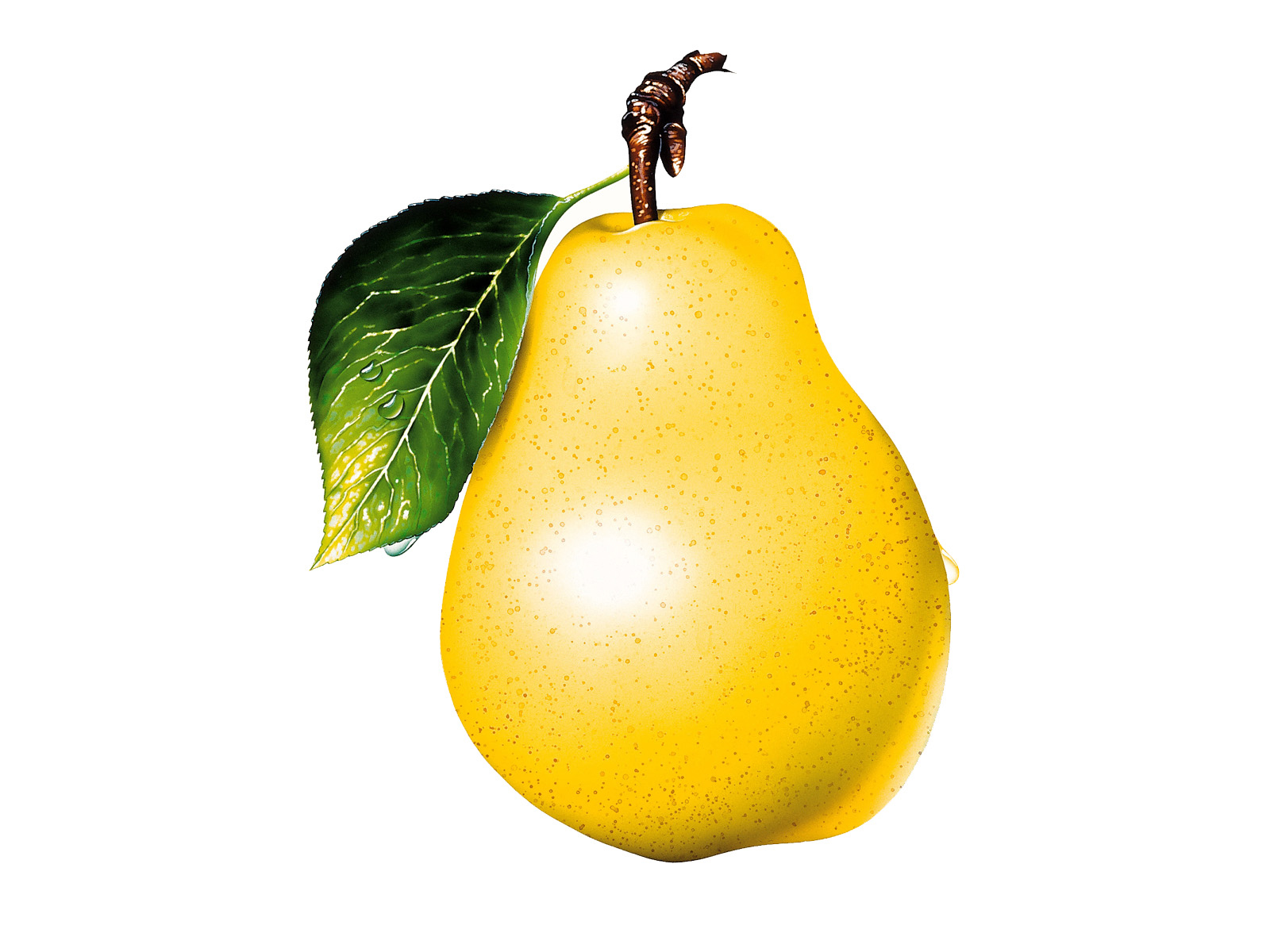 Download wallpaper: pear, clipart, photo, download