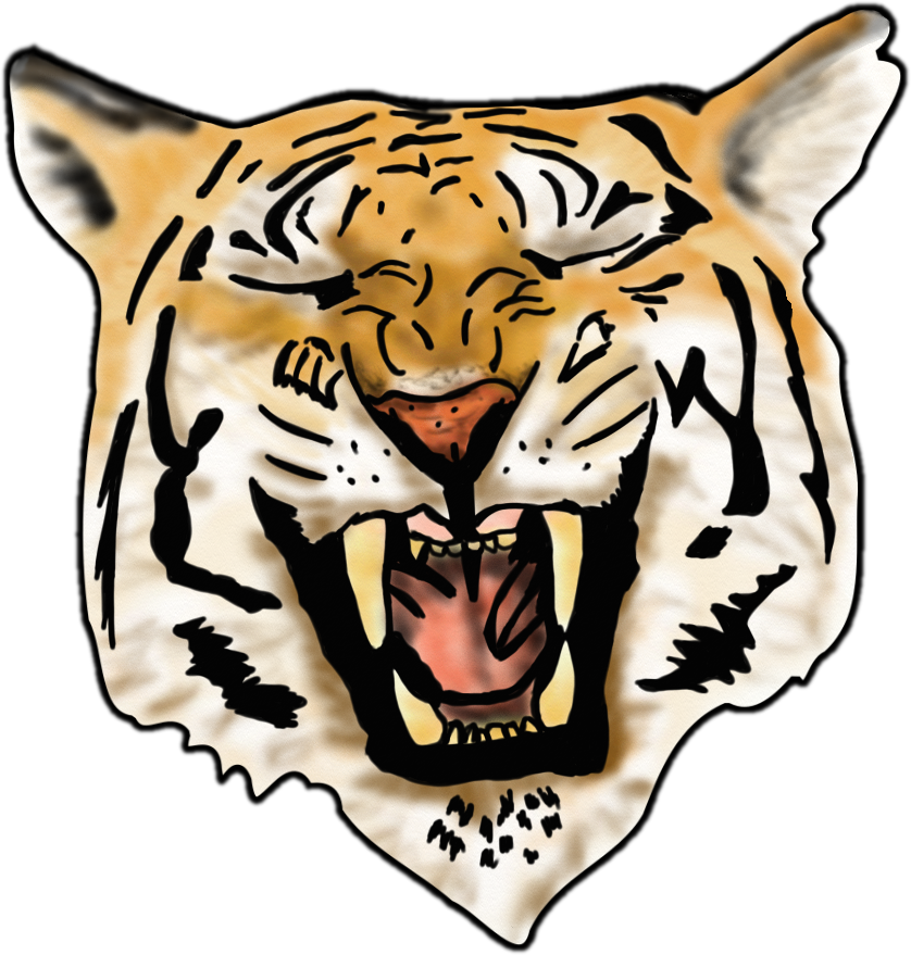 Airbrush Tiger image - vector clip art online, royalty free ...