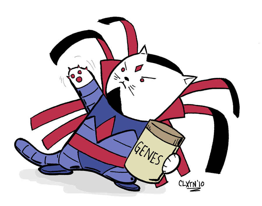 Super Punch: More Marvel Cats (and mice, and dogs)